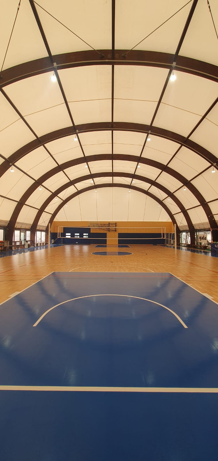 basket4.jpeg