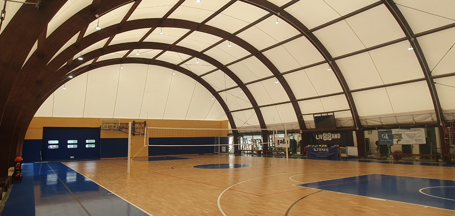 basket5.jpeg