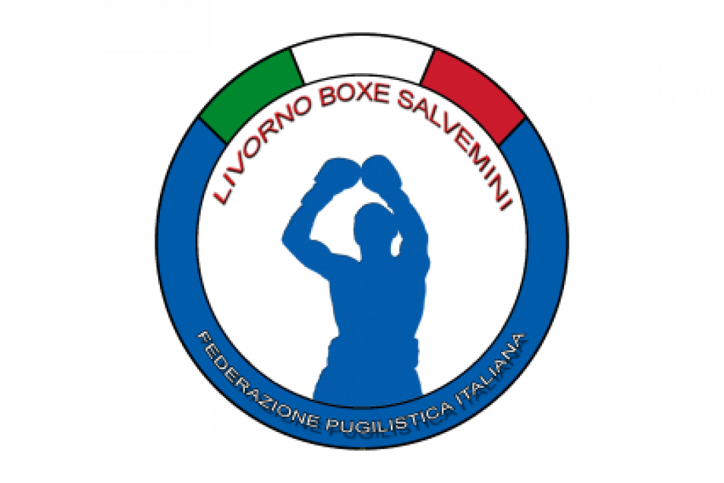 Salvemini_Box.png
